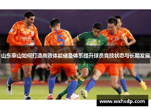 山东泰山如何打造高效体能储备体系提升球员竞技状态与长期发展