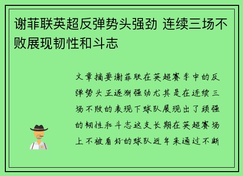 谢菲联英超反弹势头强劲 连续三场不败展现韧性和斗志